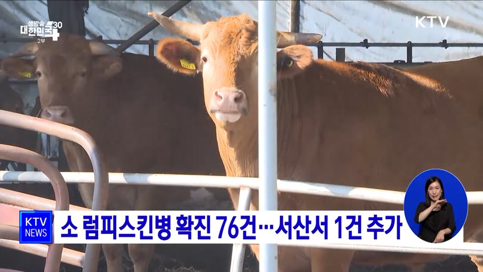 소 럼피스킨병 확진 76건···서산서 1건 추가