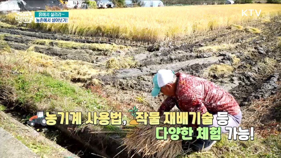 흙에서 살리라~ 농촌에서 살아보기! [돈이 보이는 VCR]