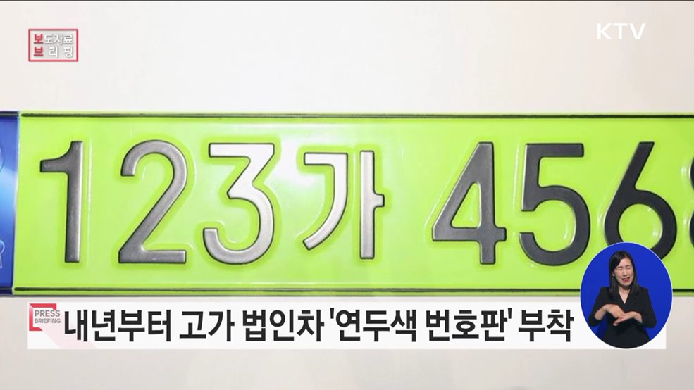 법인 업무용 승용차 전용 '연두색 번호판' 도입