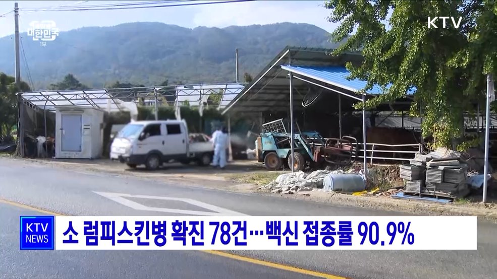 소 럼피스킨병 확진 78건···백신 접종률 90.9%