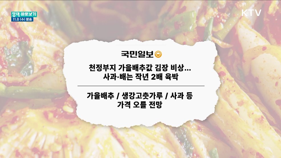 치솟는 김장 물가···'이렇게' 잡는다