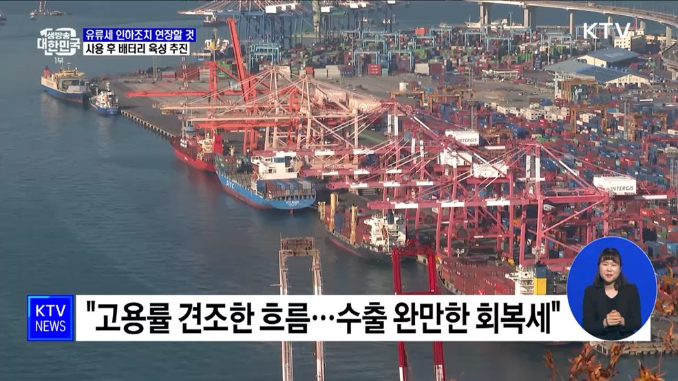 "유류세 인하조치 연장할 것"···2차 전지 산업 육성