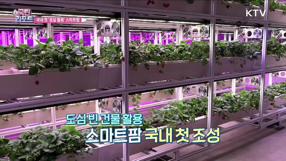 국내 첫 공실 건물 활용 '스마트팜' 등장