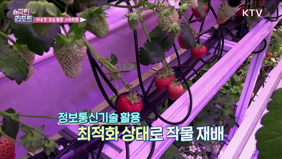 국내 첫 공실 건물 활용 '스마트팜' 등장