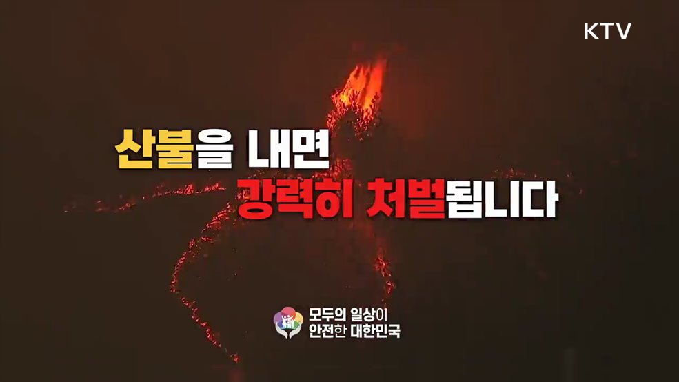 산불 처벌 규정 강화 홍보 - 행정안전부