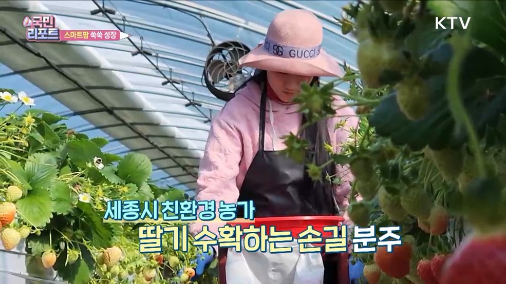 기후 영향 없는 '스마트팜' 쑥쑥 성장