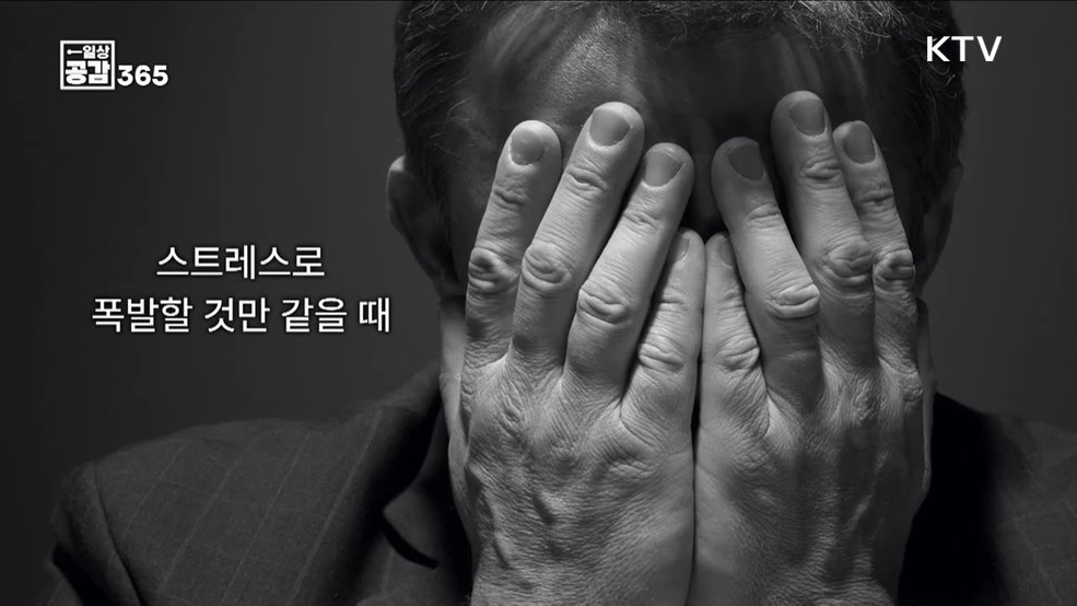 지치고 힘들때 마음의 평화를 주는 곳, 숲 [일상공감365]