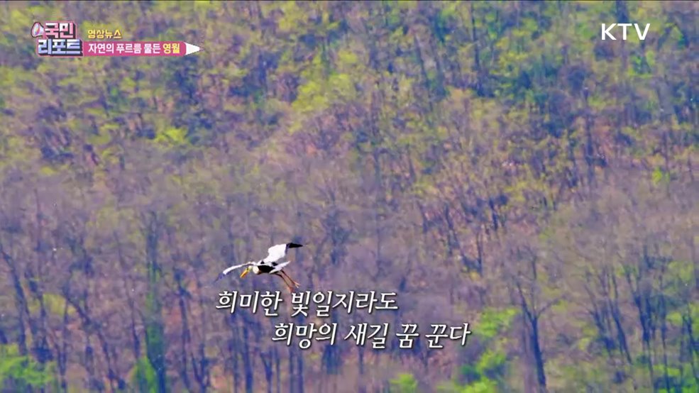 자연의 푸르름 물든 영월 [한국의 美]