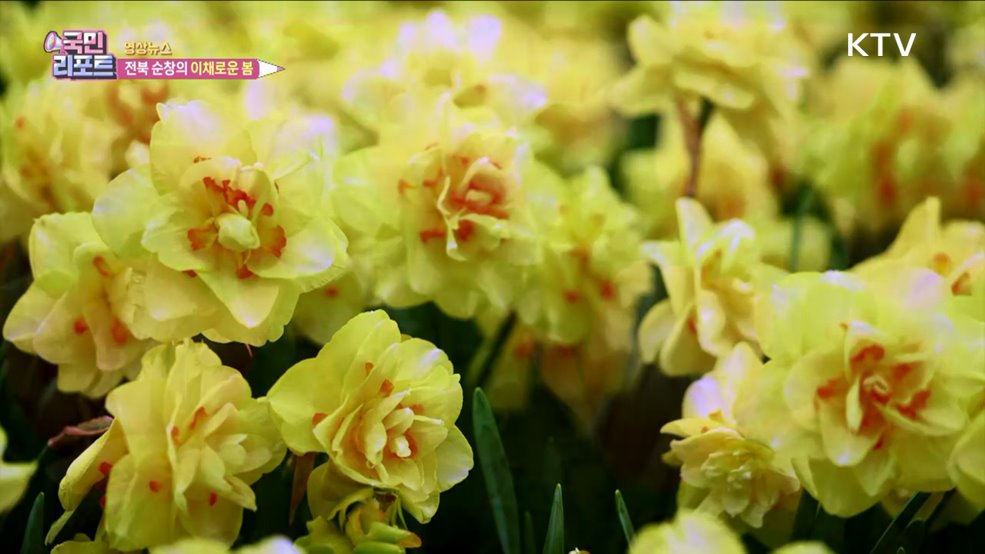 전북 순창의 이채로운 봄 [한국의 美]
