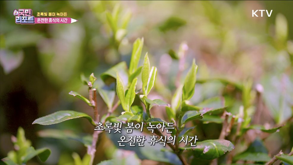 초록빛 봄이 녹아든 온전한 휴식의 시간 [한국의 美]