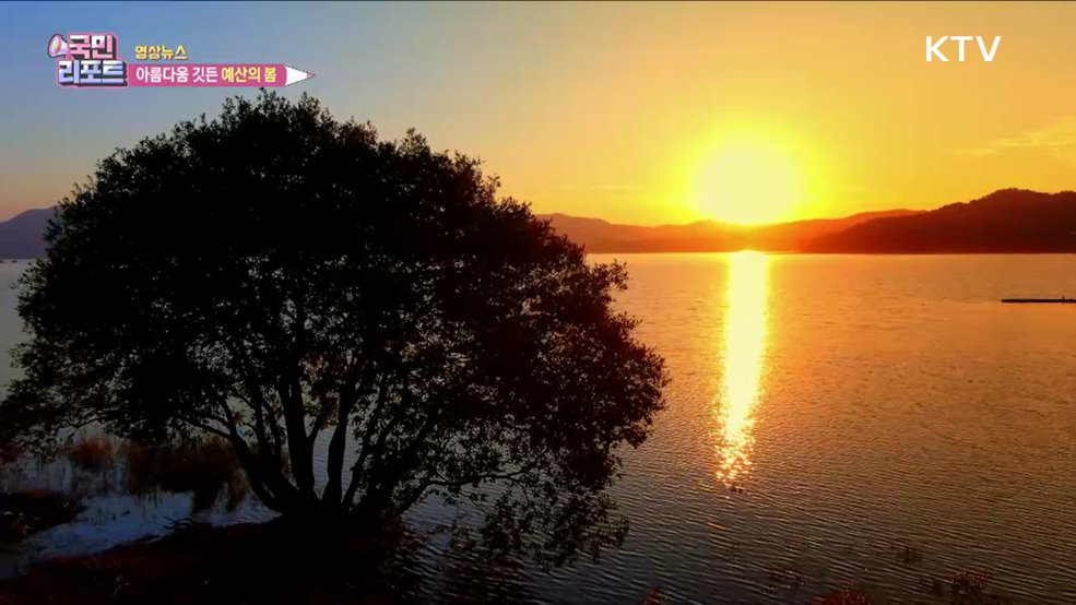 아름다움 깃든 예산의 봄 [한국의 美]