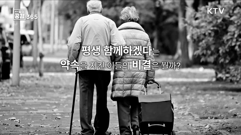 백년해로를 함께 하기 위해 필요한 노력 [일상공감 365]