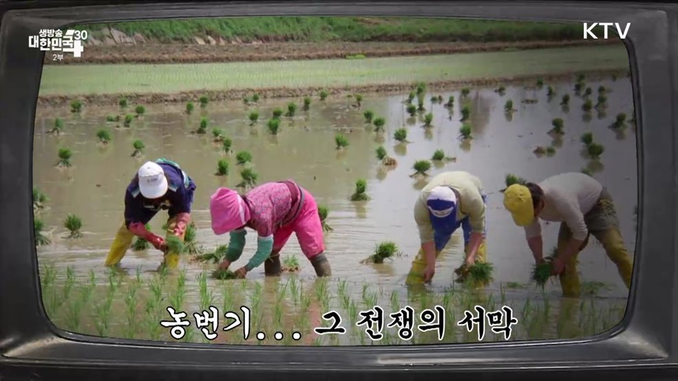 작년에 왔던 모내기철 올해도 결국 또 왔네 [라떼는 뉴우스]