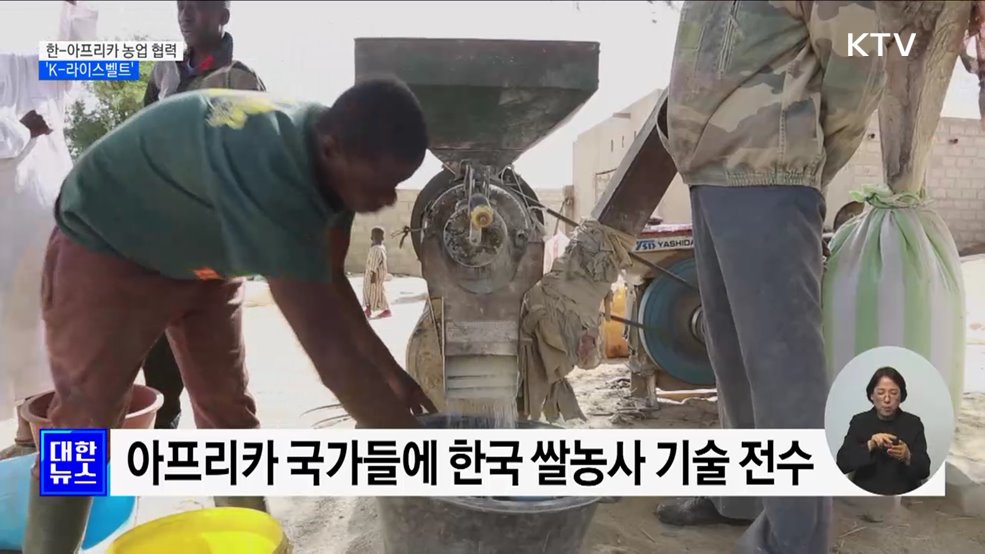 아프리카에 한국 쌀농사 기술 전수···"정상회의로 협력 강화" [정책현장+]