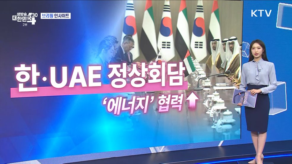 국가안보실 제1차장 UAE 대통령 국빈 방한 (5.29) [브리핑 인사이트]