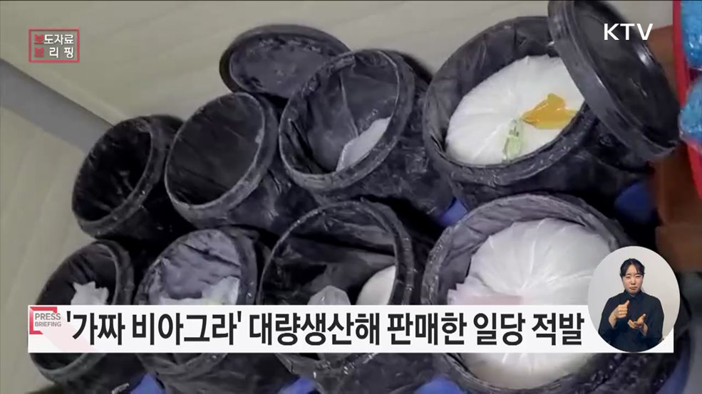 가짜 발기부전치료제 불법 제조·판매 사범 구속