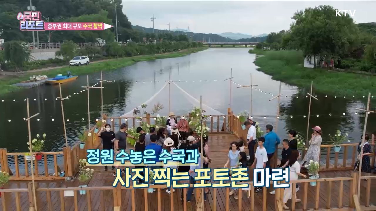 중부권 최대 규모 '수국 정원' 관광객 북적