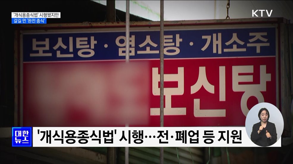 '개식용종식법' 시행됐지만···갈길 먼 '완전 종식’ [현장고발]