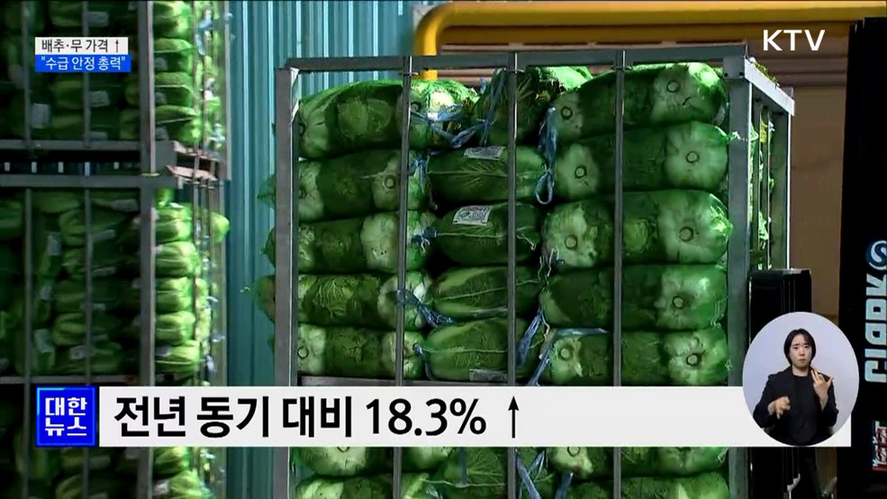 배추·무 가격↑···"모든 가용수단 동원해 수급 안정"