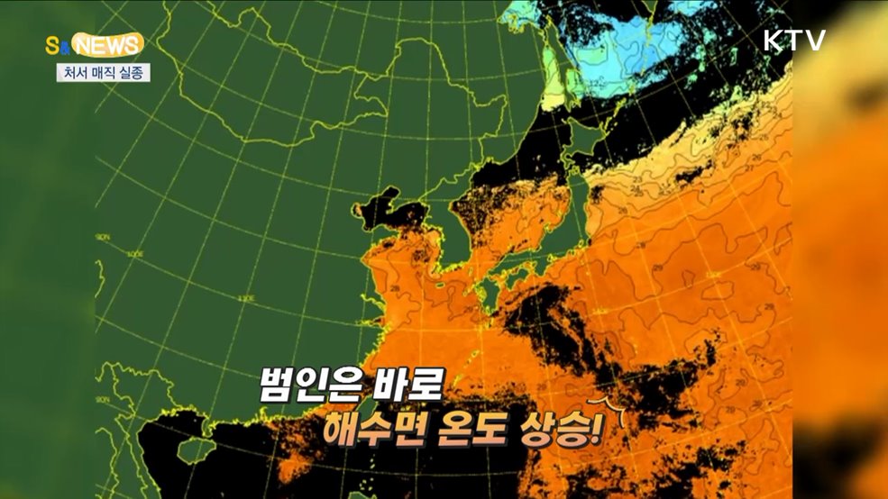 사라진 '처서 매직'···원인은 지구온난화?! [S&News]