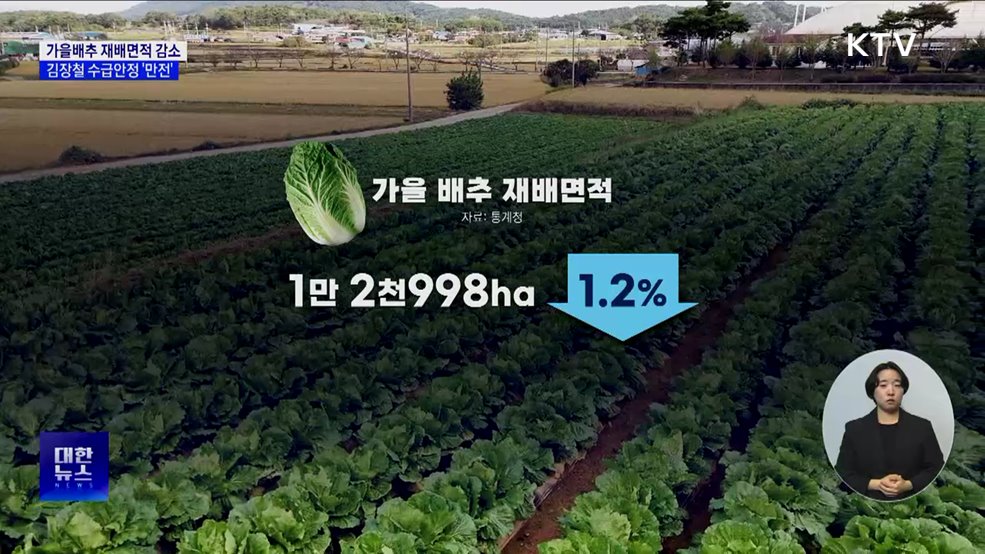 가을배추 재배면적 감소···김장철 수급안정 '만전'