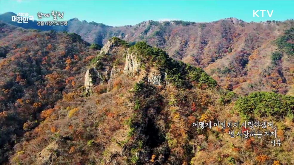 정읍 내장산의 단풍 [함께 힐링]