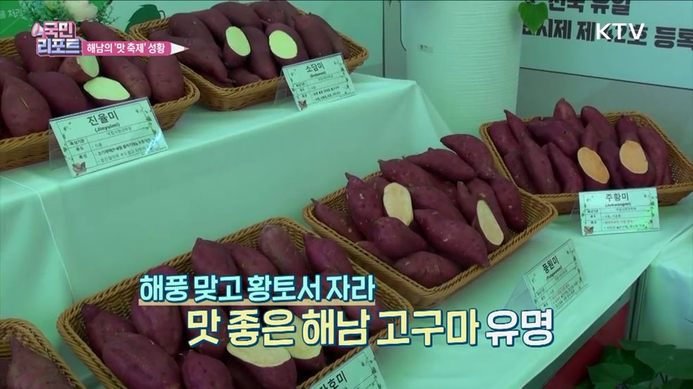 배추 불티 난 '해남 맛 축제' 24만 명 찾아