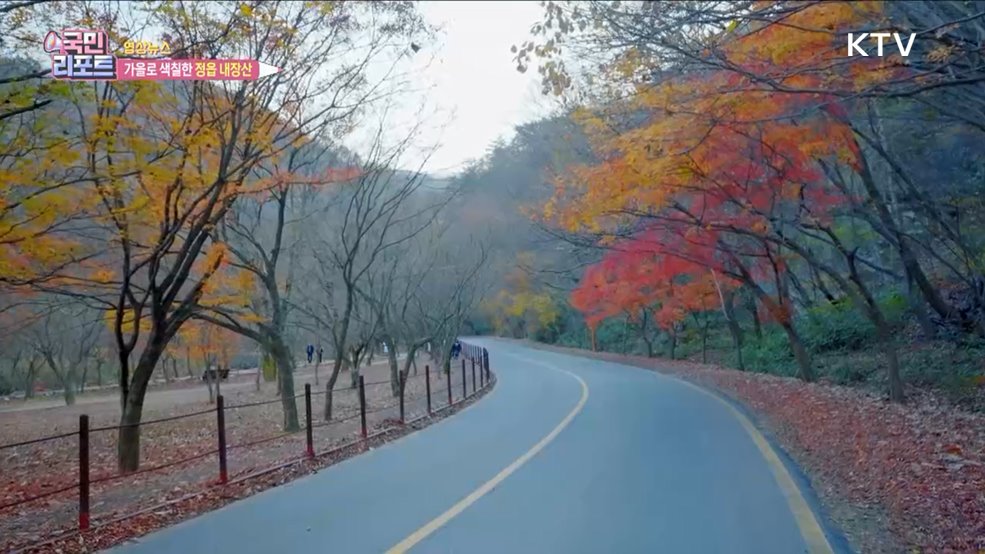 가을로 색칠한 정읍 내장산 [함께 힐링]