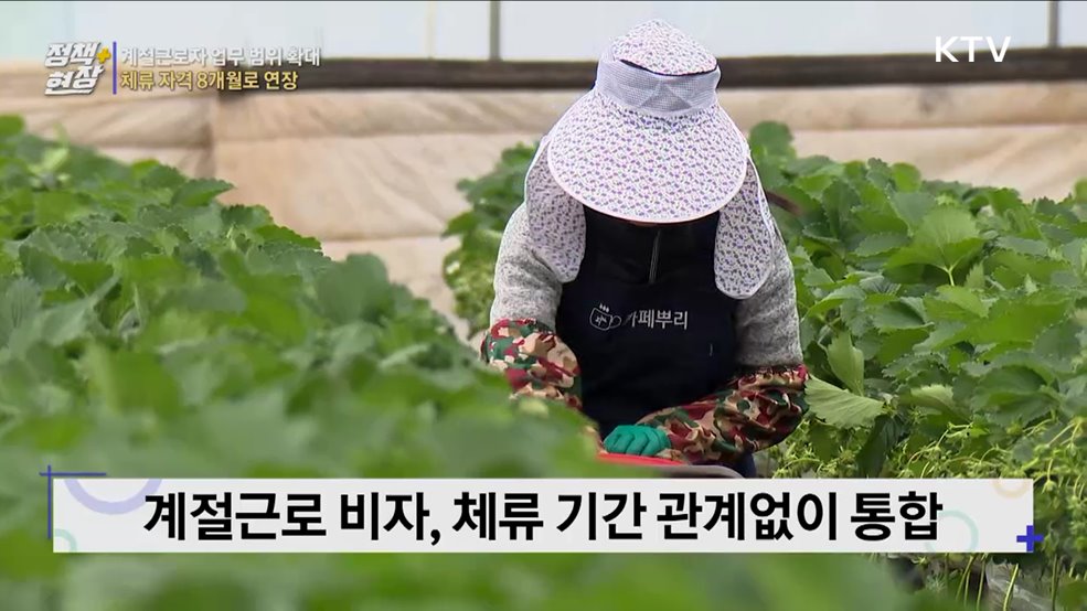 외국인 '계절근로자' 업무 범위 확대···체류 자격 상한 연장