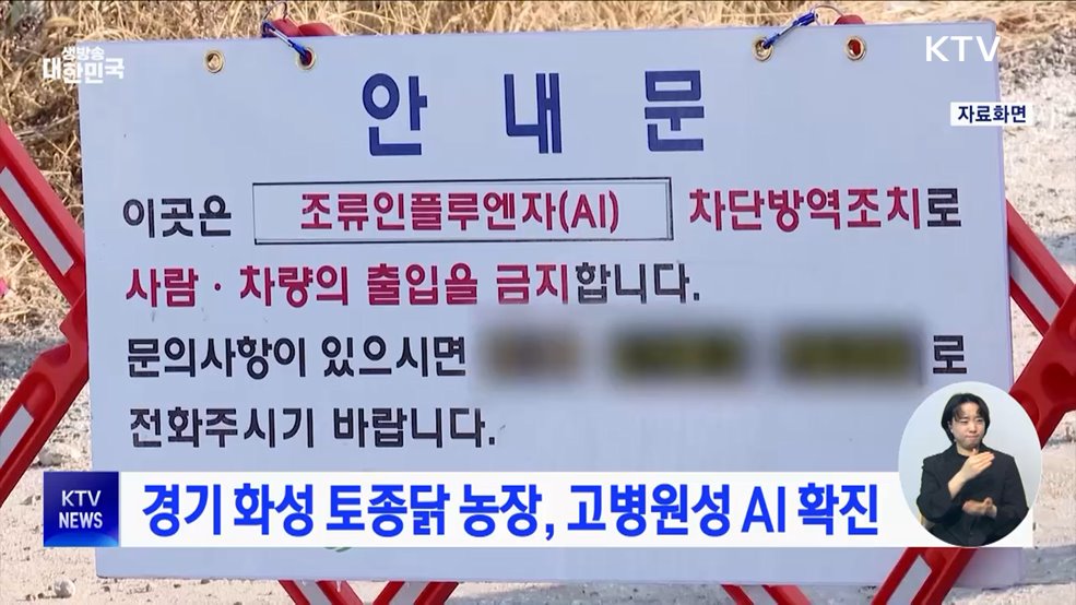 경기 화성 토종닭 농장, 고병원성 AI 확진