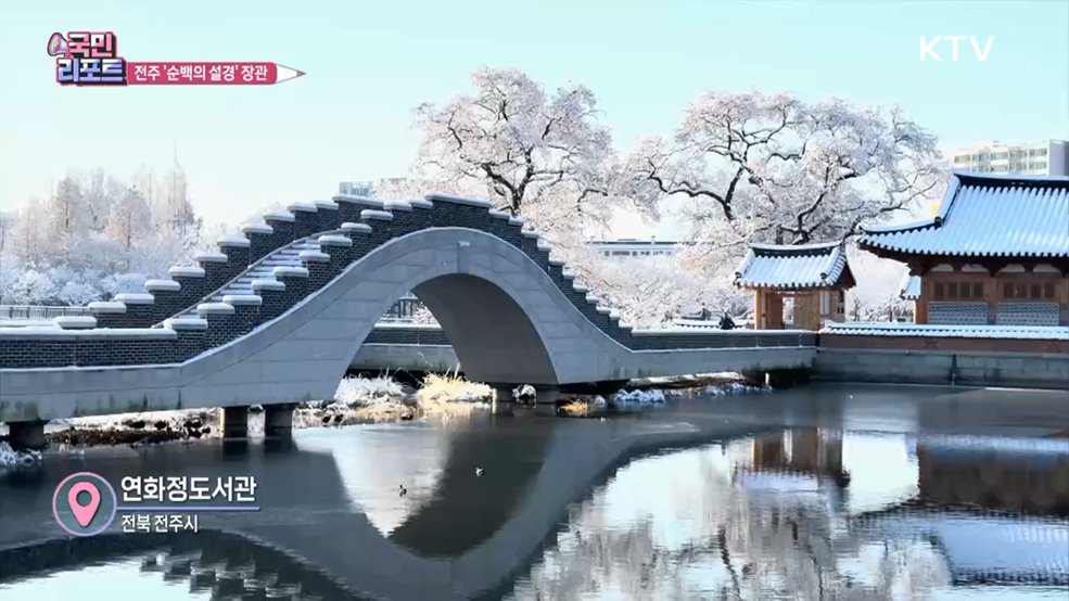 전주 덕진공원 '순백의 비경' 외국인도 감탄