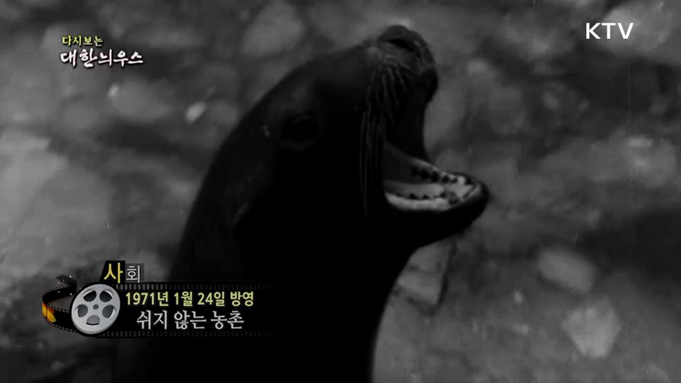 다시보는 대한늬우스 (71. 1. 24.)