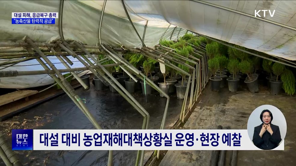설 연휴 대설 피해에 응급복구 총력···"농축산물 탄력적 공급"