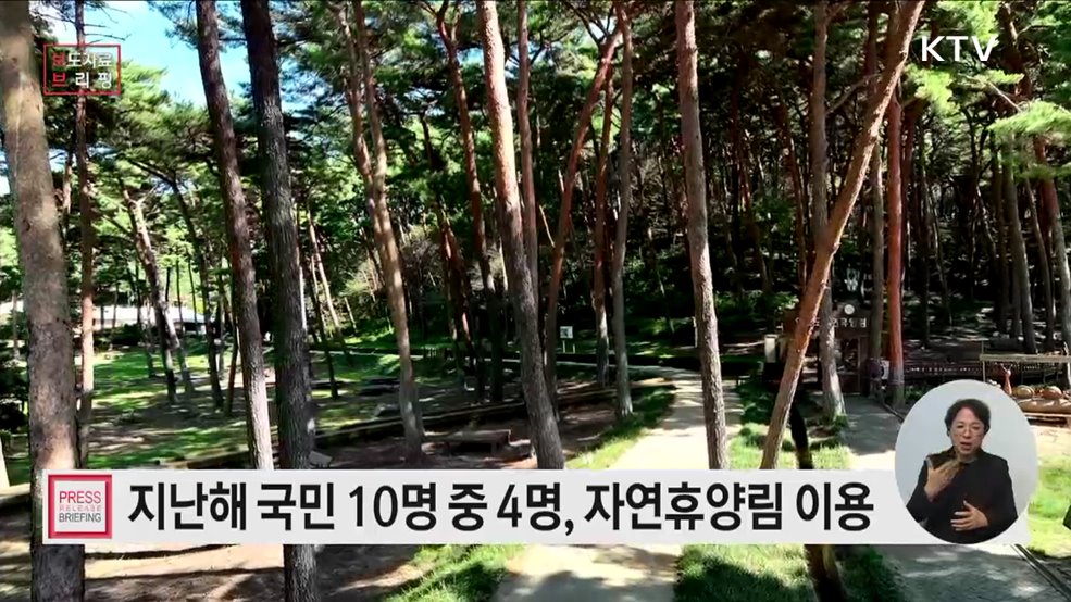 2024년 자연휴양림 이용자 1천998만 명···국민 10명 중 4명 산림휴양 경험