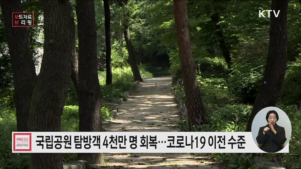 국립공원 탐방객 5년 만에 4천만 명 회복