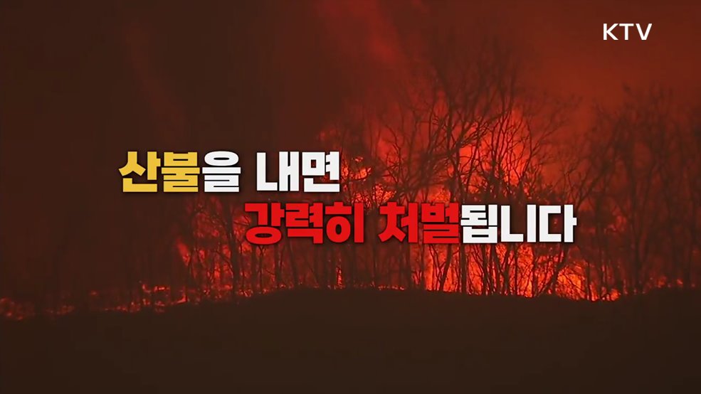 산불 처벌 규정 강화  푸른 숲 사랑의 시작은 산불예방 - 행정안전부