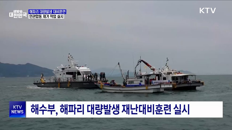 해수부, '해파리 대량발생' 대비 훈련 실시