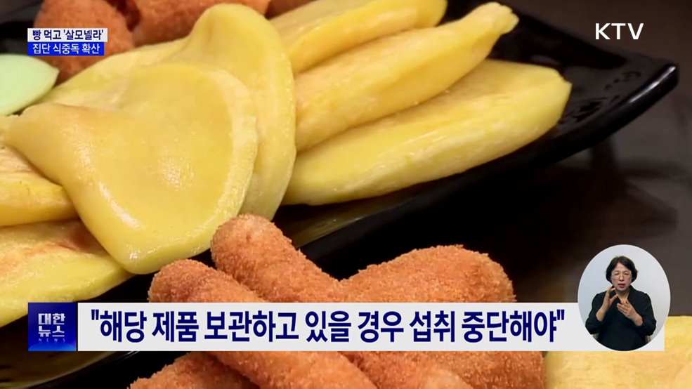 빵 섭취 후 200여 명 '살모넬라' 집단 식중독