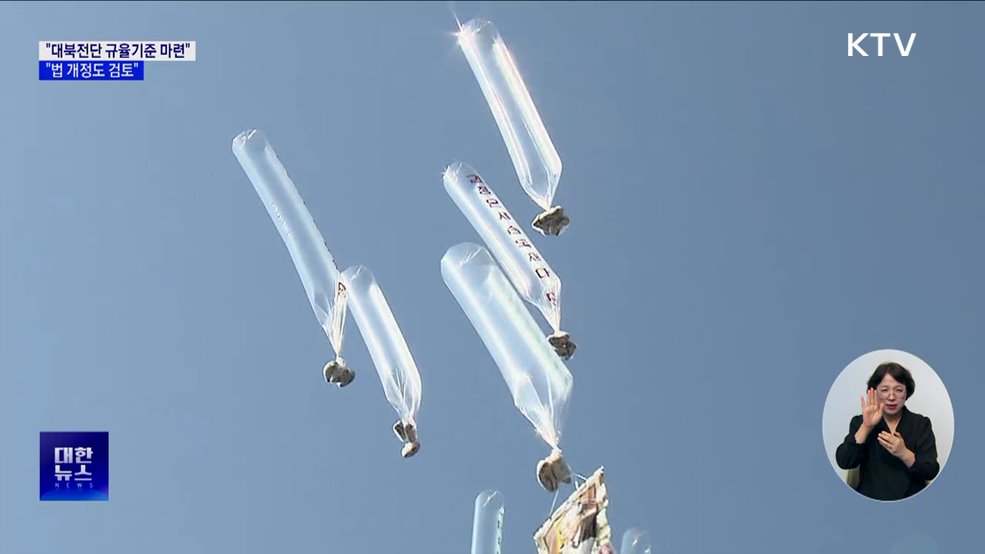 "대북전단 규율기준 마련···법 개정도 검토"