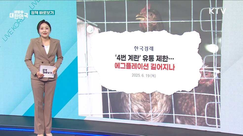 농식품부 "4번 계란 지속 생산 가능···안정적 수급관리 추진" [정책 바로보기]