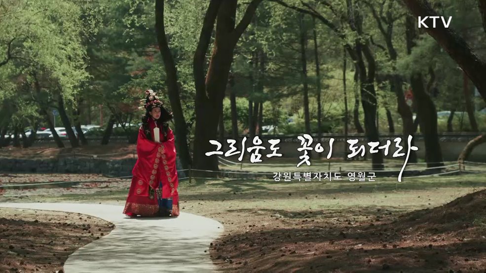 그리움도 꽃이 되더라 강원특별자치도 영월군