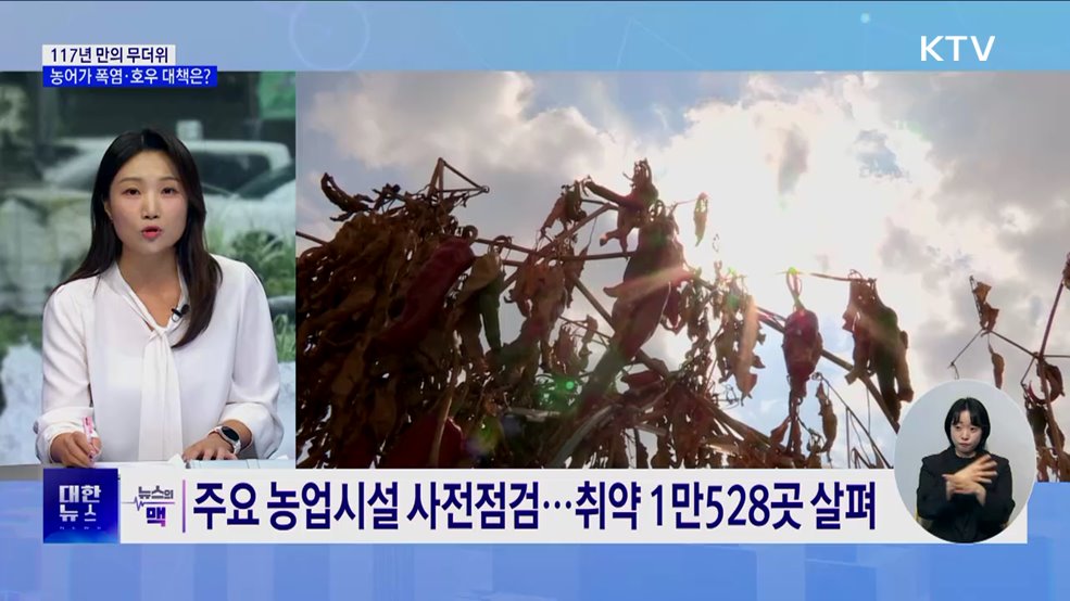 117년 만 '최악의 여름'···농어가 폭염·호우 대책은? [뉴스의 맥]