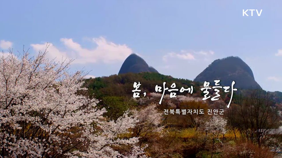 봄, 마음에 물들다 전북특별자치도 진안군