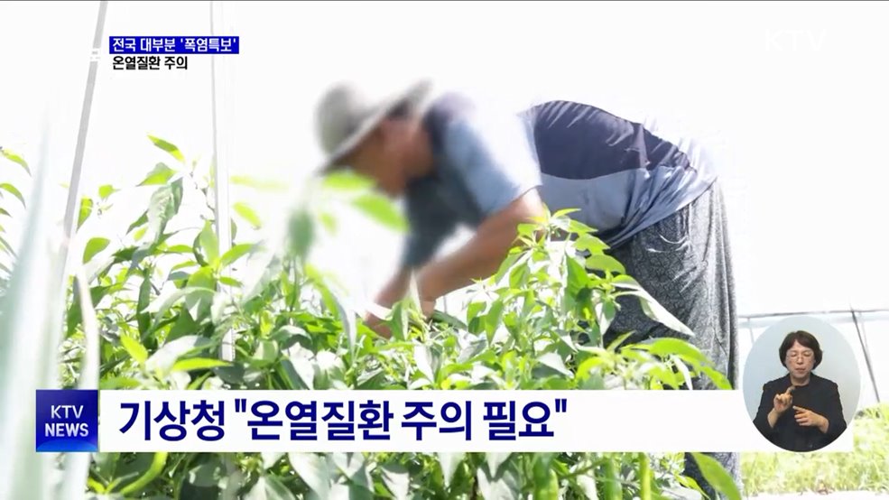 전국 대부분 '폭염특보'···온열질환 주의
