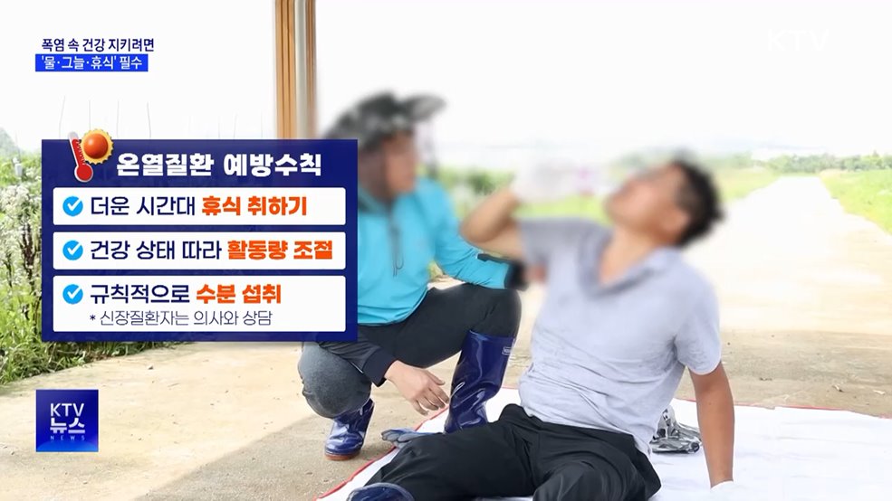 폭염 속 건강 지키려면···'물·그늘·휴식' 필수