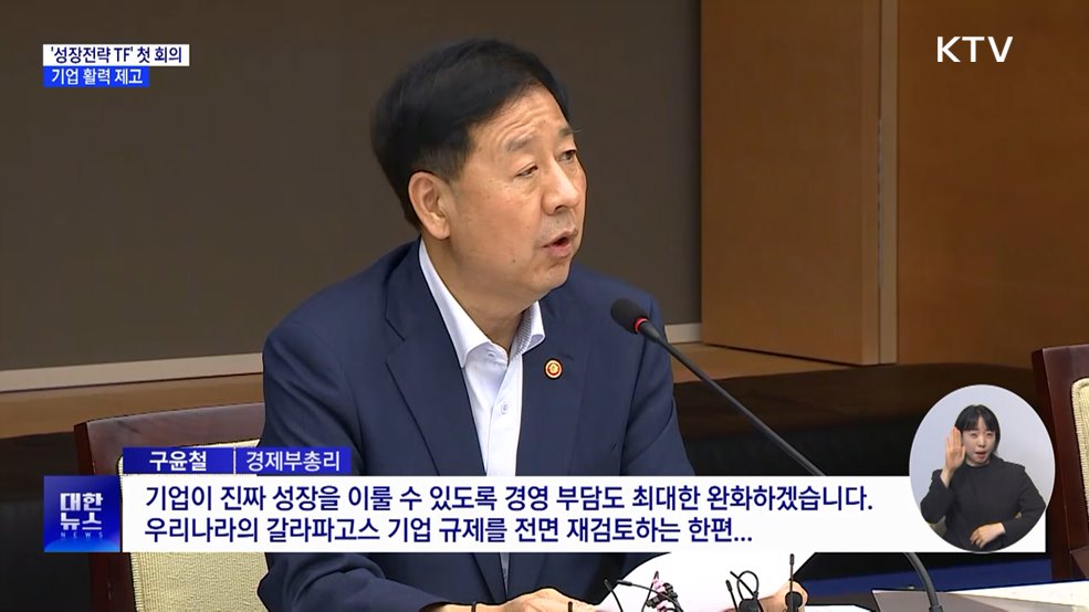 '성장전략 TF' 첫 회의···기업 활력 제고