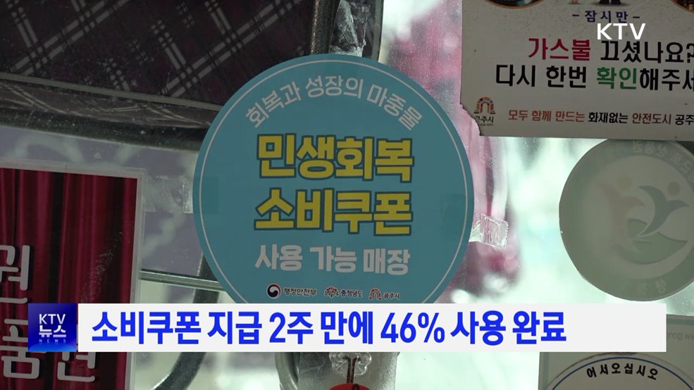 소비쿠폰 지급 2주 만에 46% 사용 완료