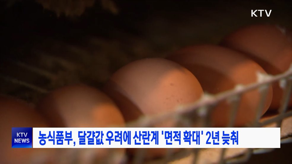 농식품부, 달걀값 우려에 산란계 '면적 확대' 2년 늦춰