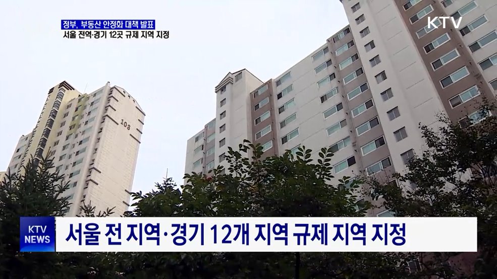 '주택시장 안정화 대책' 발표···서울 전역 규제지역 지정