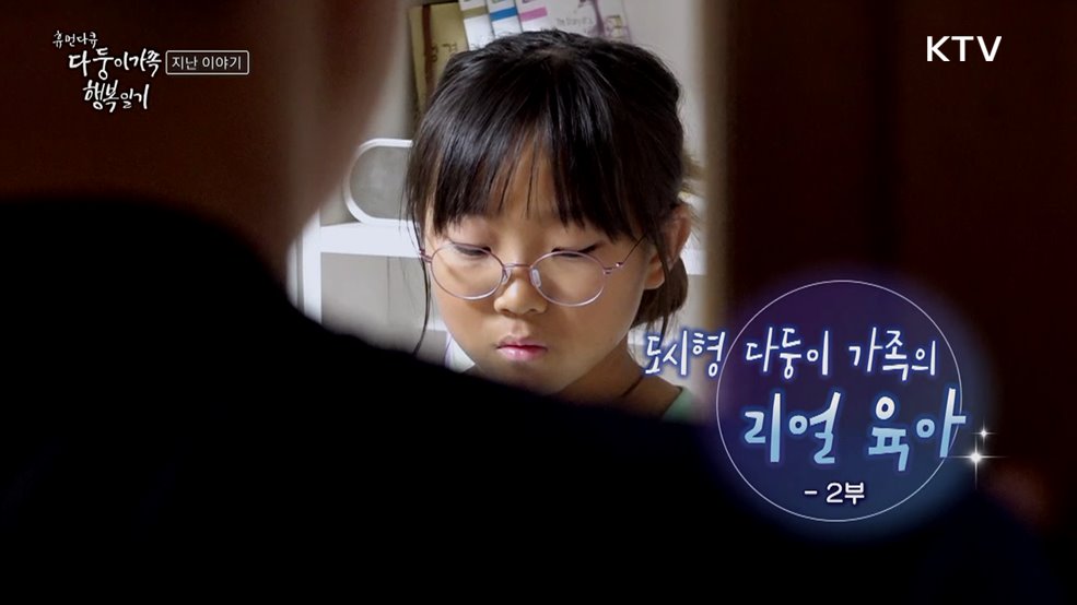 도시형 다둥이 가족의 리얼 육아 2부